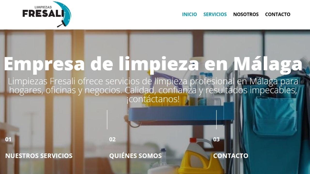 Diseño-pagina-limpieza